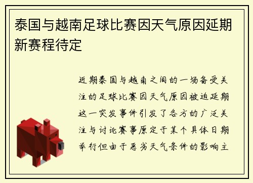 泰国与越南足球比赛因天气原因延期新赛程待定