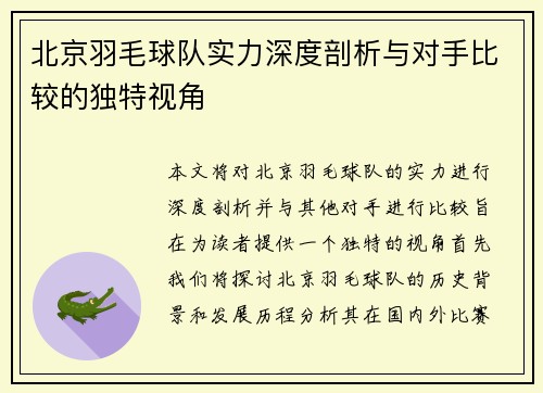 北京羽毛球队实力深度剖析与对手比较的独特视角
