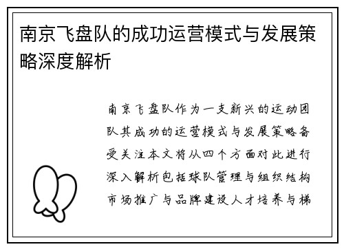 南京飞盘队的成功运营模式与发展策略深度解析