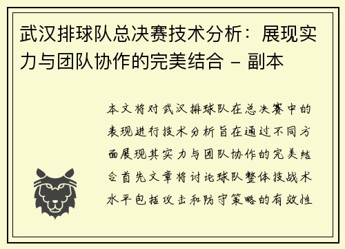 武汉排球队总决赛技术分析：展现实力与团队协作的完美结合 - 副本