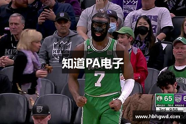 知道PA电子